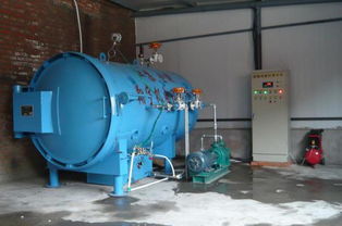 电蒸箱与水处理设备——金湖县翔宇机电设备厂的产品解析